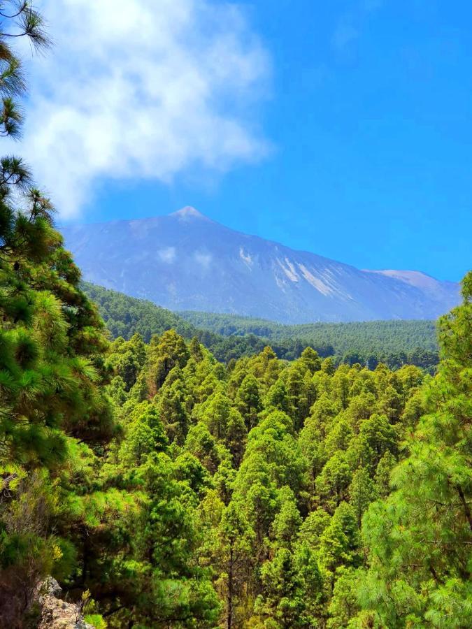 Monte Frio De Tenerife La Guancha Esterno foto